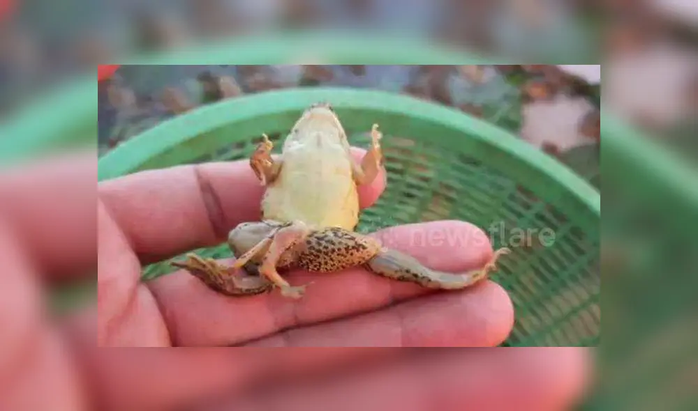 Desliza para ver los detalles del video viral publicado en YouTube. Foto: Captura. Desliza para ver los detalles del video viral publicado en YouTube. Foto: Captura.