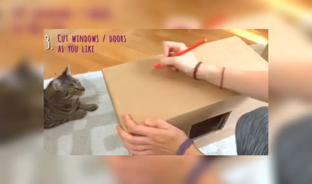 En Facebook, un joven utilizó cartón para fabricar una casa especial para su adorado gato y obtuvo un buen resultado. En Facebook, un joven utilizó cartón para fabricar una casa especial para su adorado gato y obtuvo un buen resultado.