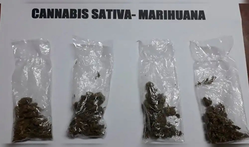 Piura: escolar llevaba droga camuflada en peluche Piura: escolar llevaba droga camuflada en peluche