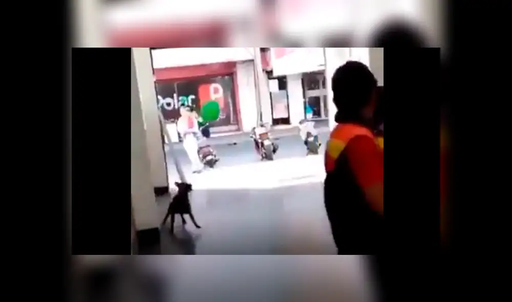 Vía Facebook: Perro encuentra globo en la calle y esta es su asombrosa reacción [VIDEO]