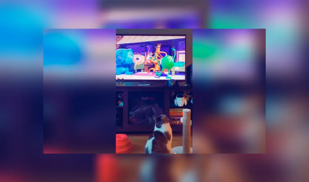 Desliza las imágenes para apreciar la tierna reacción de un gato cuando su dueña le pone su película favorita. Foto: Captura. Desliza las imágenes para apreciar la tierna reacción de un gato cuando su dueña le pone su película favorita. Foto: Captura.