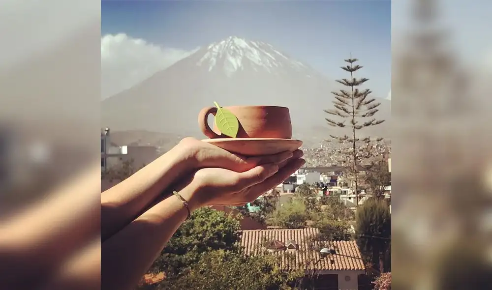 Proyecto peruano sobre plantas medicinales andinas “La Clotilde”, nominado a premio internacional en EEUU Proyecto peruano sobre plantas medicinales andinas “La Clotilde”, nominado a premio internacional en EEUU