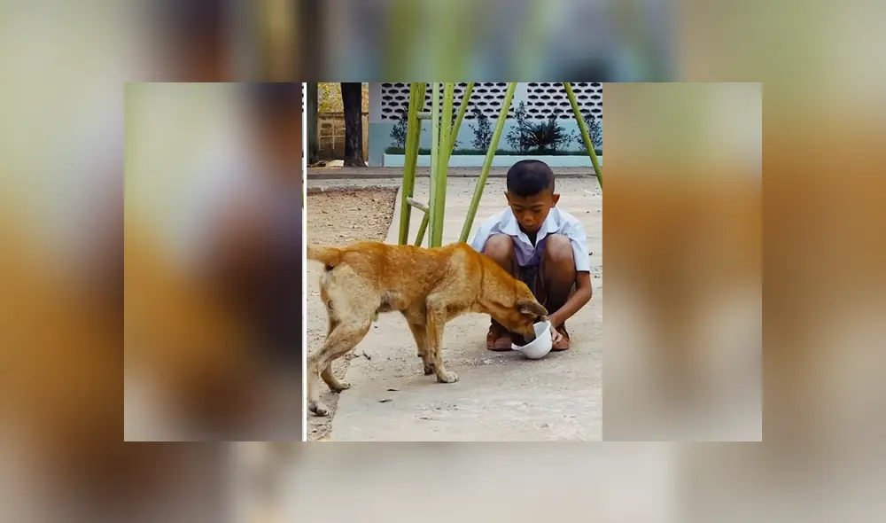 Desliza para ver los detalles del video viral publicado en Facebook. Foto: Captura. Desliza para ver los detalles del video viral publicado en Facebook. Foto: Captura.