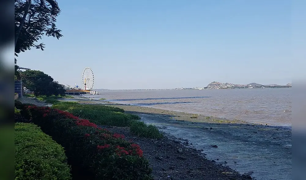 Guayaquil: Conoce qué puedes hacer en esta bella ciudad Guayaquil: Conoce qué puedes hacer en esta bella ciudad