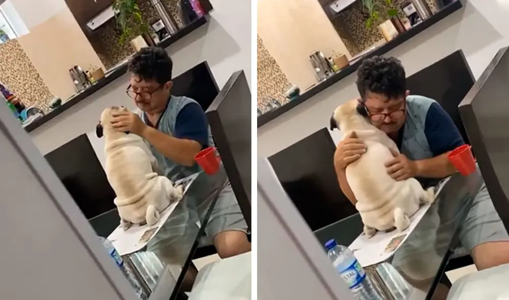 Desliza las imágenes para apreciar el amoroso momento entre un hombre con la mascota de su hijo. Foto: Captura de Facebook Desliza las imágenes para apreciar el amoroso momento entre un hombre con la mascota de su hijo. Foto: Captura de Facebook
