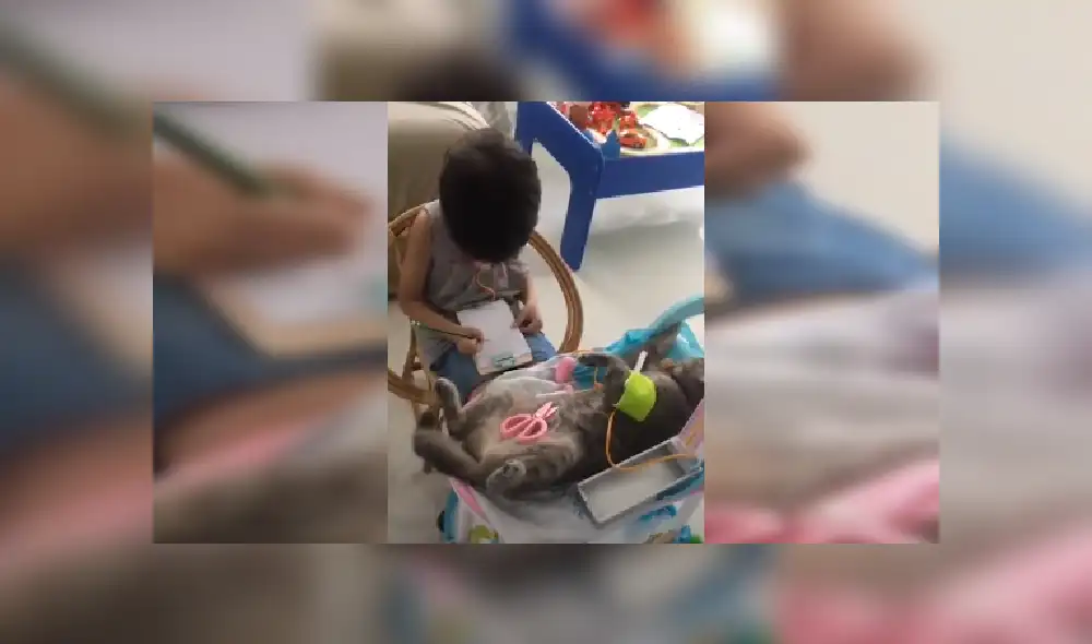 Desliza las imágenes para ver más detalles de esta tierna escena que es viral en YouTube. (Foto: captura)