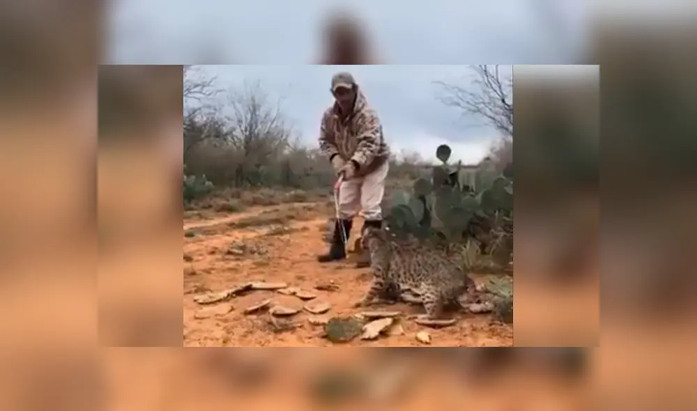 Para ver lo que ocurrió con el osado turista revisa las capturas del video viral de Facebook, deslizando cada imagen hacia la izquierda.