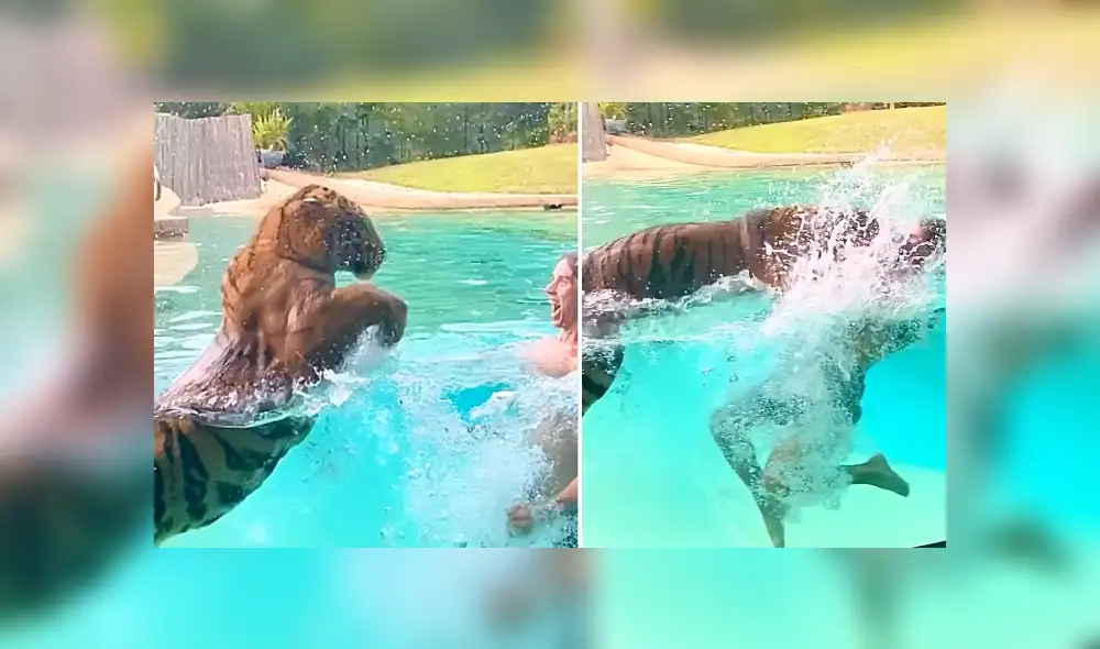 Desliza hacia la izquierda para ver las imágenes del viral de Facebook. Foto: Captura.