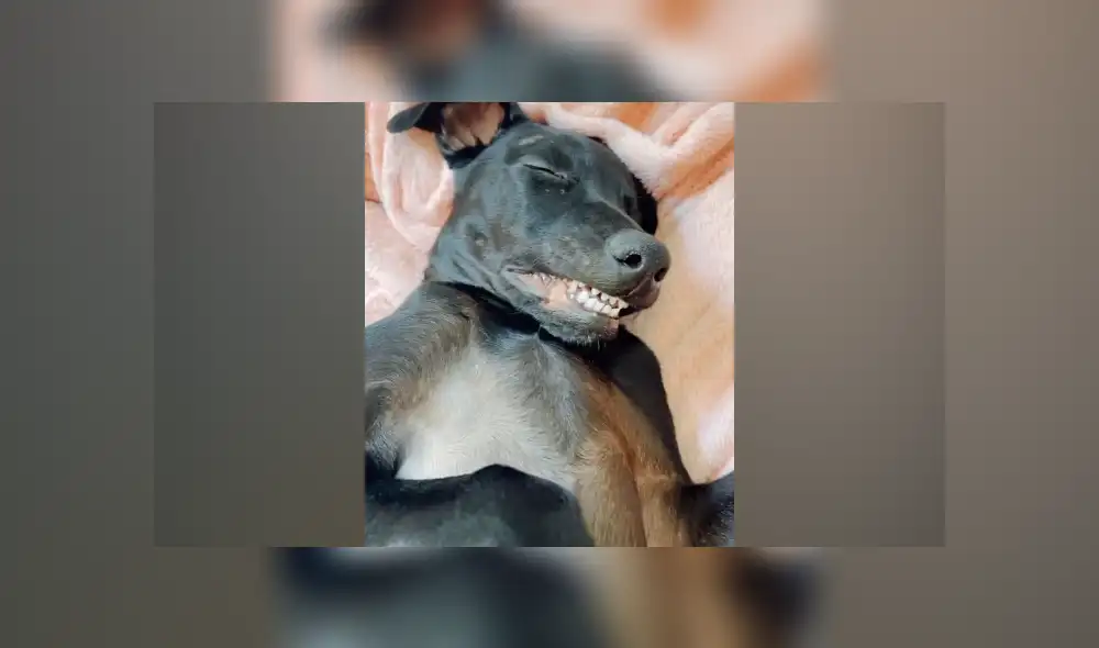Desliza hacia la izquierda para ver las imágenes del viral de YouTube. Foto: Captura. Desliza hacia la izquierda para ver las imágenes del viral de YouTube. Foto: Captura.