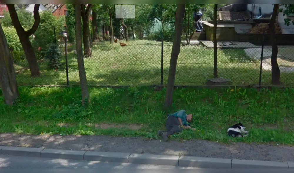 Google Maps: ebrio se queda dormido y su perro fiel tiene increíble reacción [FOTOS]