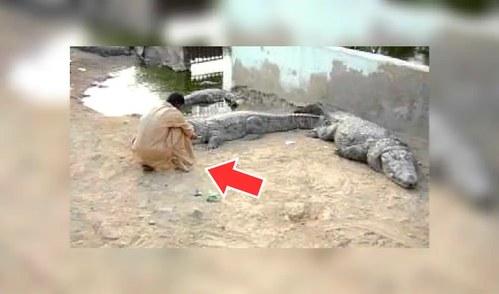 YouTube viral: se arma de valor e ingresa a un santuario de cocodrilos, sin imaginar lo que pasaría [VIDEO]