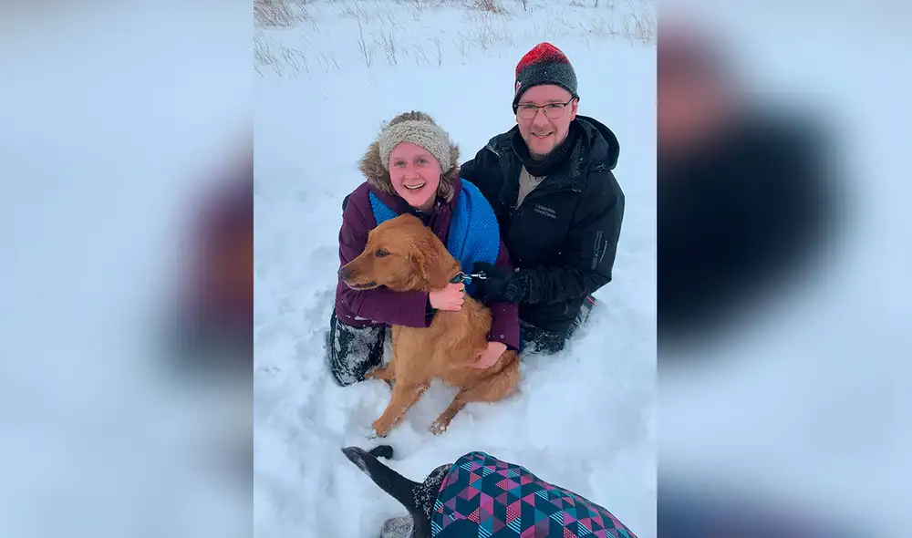 Desliza las imágenes para ver la valiente acción de un perro al encontrar a un animal que estaba enterrado en la nieve. Foto: captura de YouTube