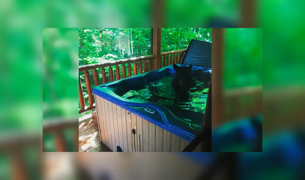 Facebook viral: Novios descubren gigantesca criatura bañándose en su jacuzzi y quedan en shock [VIDEO]