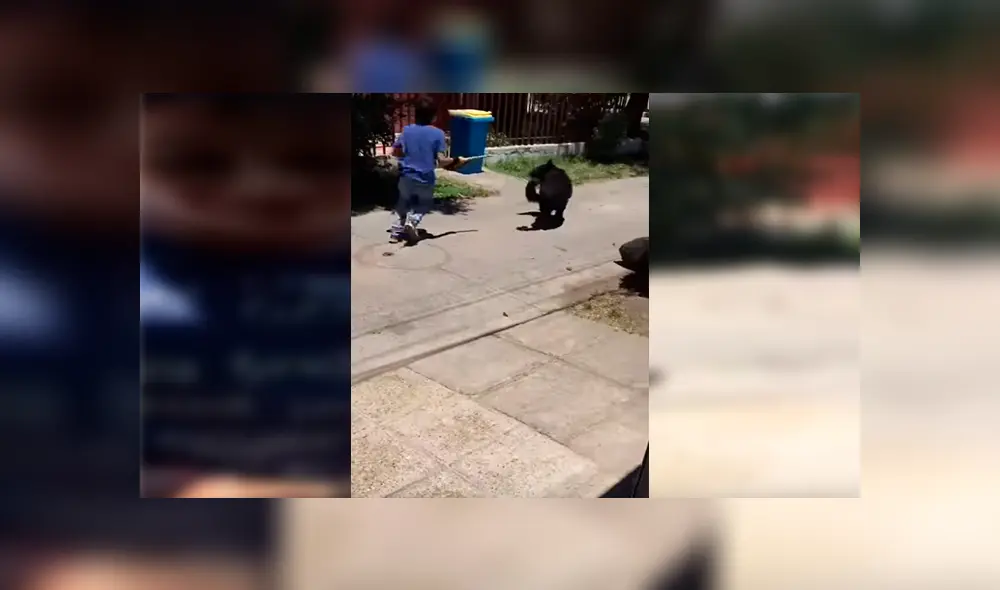 Facebook viral: niños sorprenden al pedirle a hombre permiso para que su perro pueda salir a jugar  [VIDEO]