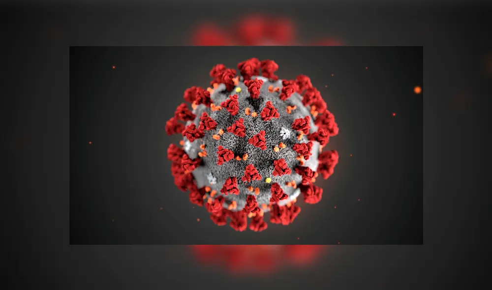 El coronavirus en una ilustración publicada por los Centros para el Control y la Prevención de Enfermedades (CDC) en Atlanta, Georgia. | Foto: MAM / CDC