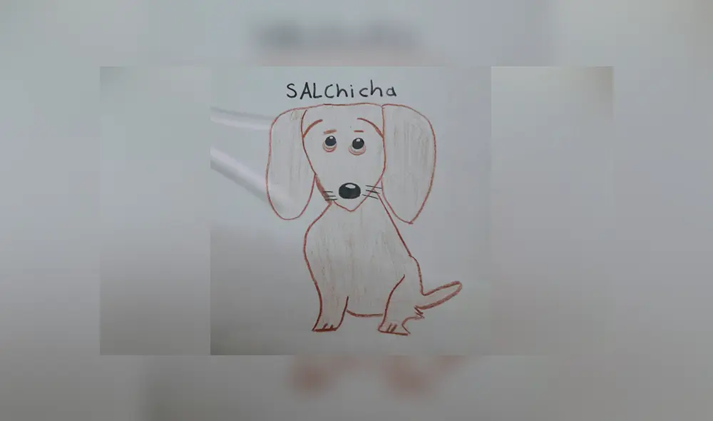 A través de Facebook se hizo viral la tierna historia de este niño y la búsqueda de su perro salchicha extraviado. A través de Facebook se hizo viral la tierna historia de este niño y la búsqueda de su perro salchicha extraviado.