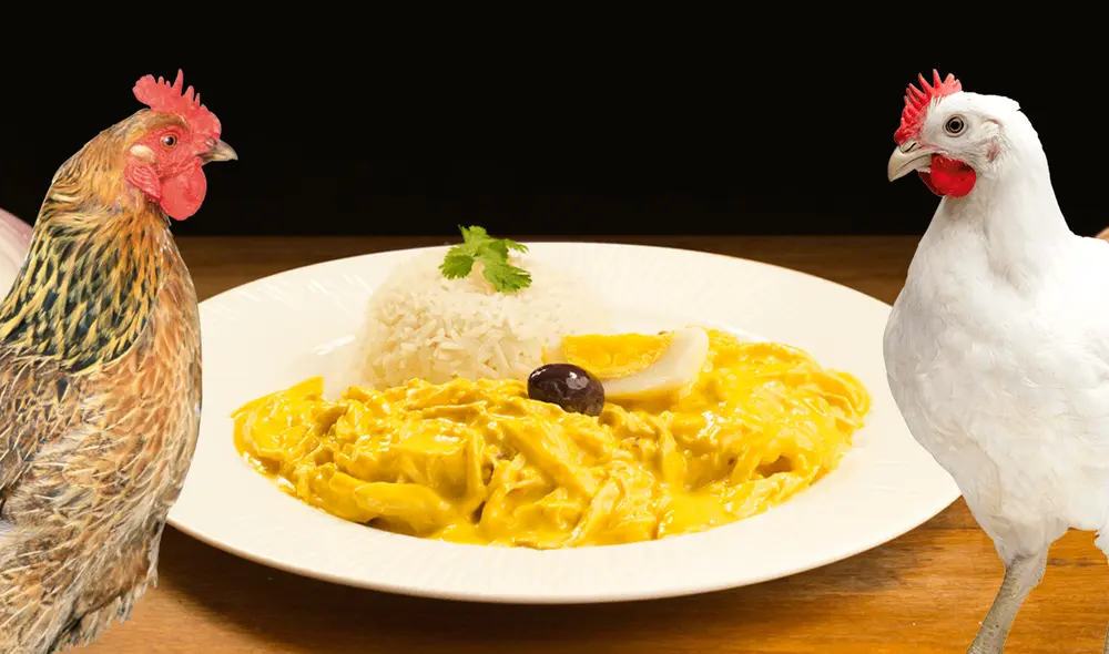Ají de gallina con pollo: ¿por qué se prepara así el platillo peruano? Foto: composición de La República/Revista Sommelier/Colaves
