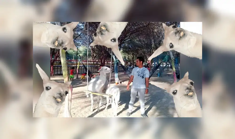 Facebook viral: joven peruano hace pedido y troles del Photoshop crean curiosos memes [FOTOS]