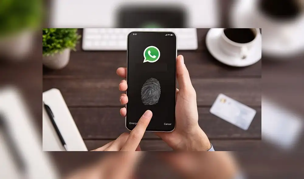 Esta función de WhatsApp ya está disponible para todos los móviles Android.