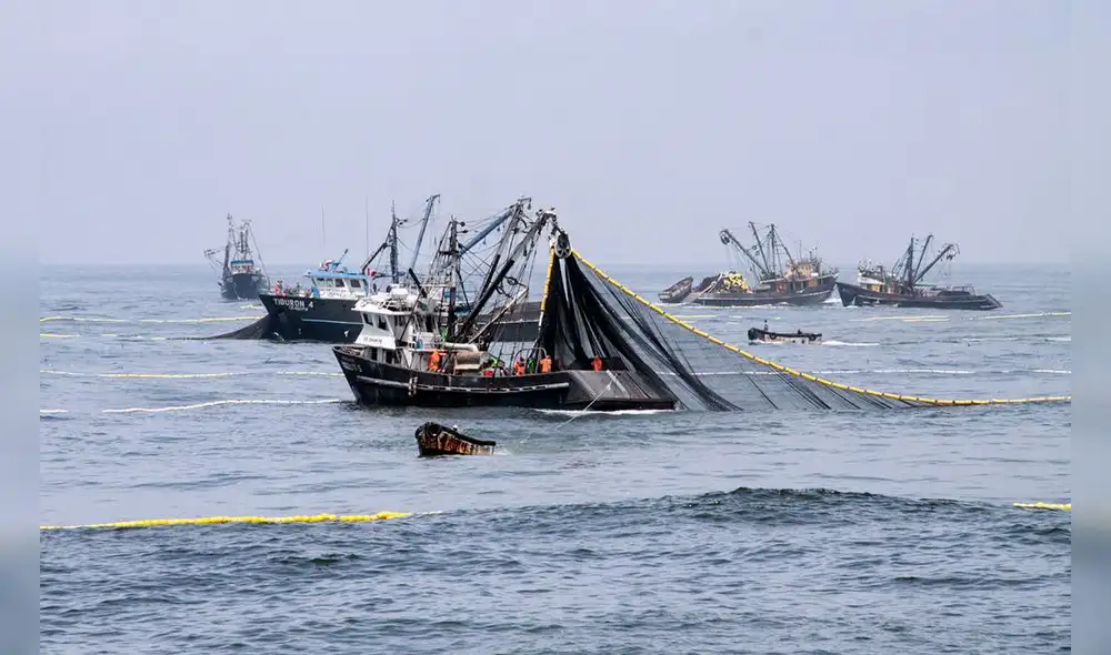 Desembarques pesqueros crecieron 94,1% durante el mes de julio por impulso de la anchoveta