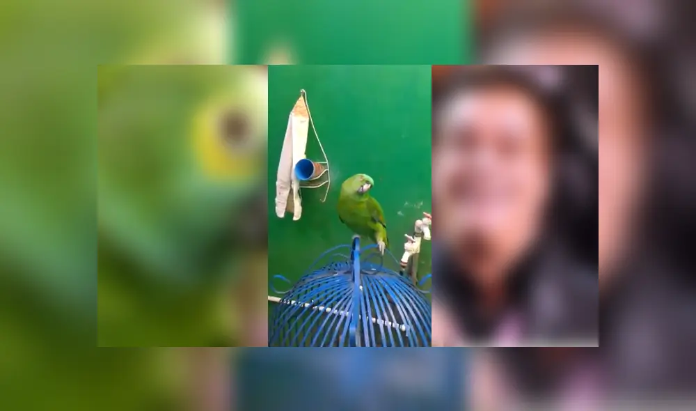 Desliza para ver los detalles del video viral publicado en Facebook. Foto: Captura.