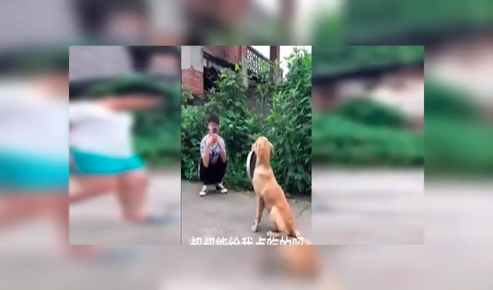En Facebook, un perro sostenía su plato de comida para pedir comida a las personas en la calle y recibió conmovedora ayuda.