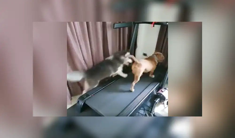 Desliza a la izquierda para ver más sobre este video viral de YouTube. Foto: Captura. Desliza a la izquierda para ver más sobre este video viral de YouTube. Foto: Captura.