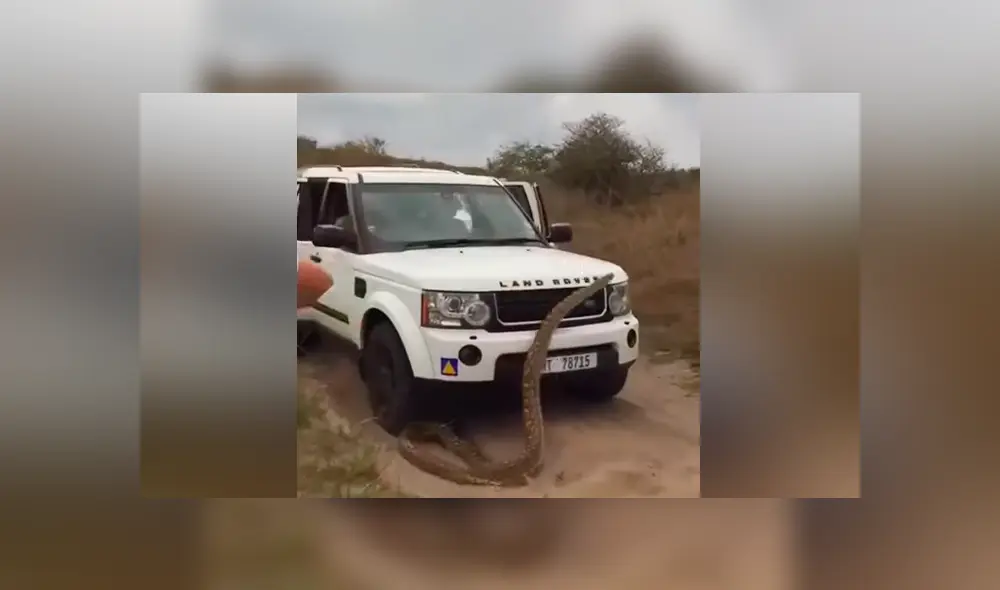 Los protagonistas del video viral de YouTube fueron acechados por una gigantesca criatura asesina. Los protagonistas del video viral de YouTube fueron acechados por una gigantesca criatura asesina.