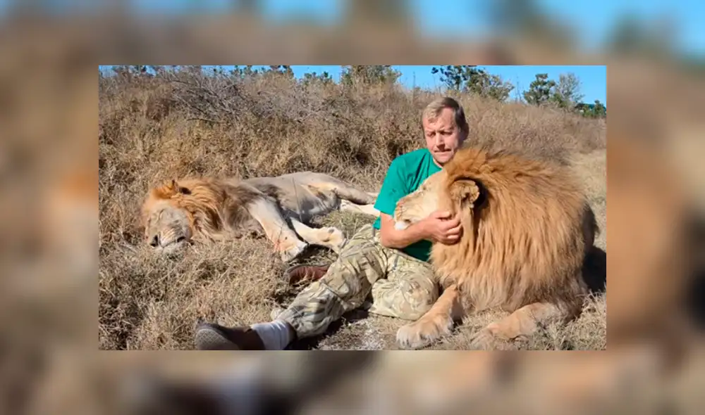 Desliza hacia la izquierda para ver la reacción de león que se volvió viral en YouTube.