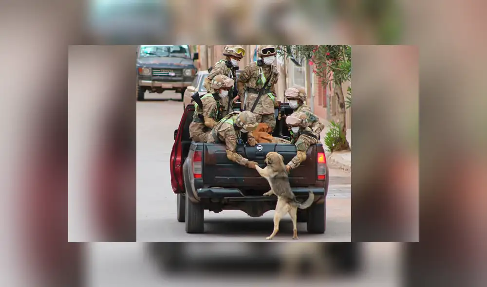 Desliza la imagen de Facebook para verlas todas. Desliza la imagen de Facebook para verlas todas.