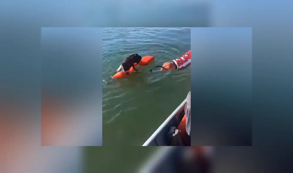 Hombre encuentra extraño ser ahogado en lago, arroja salvavidas y pasa lo inesperado [VIDEO]