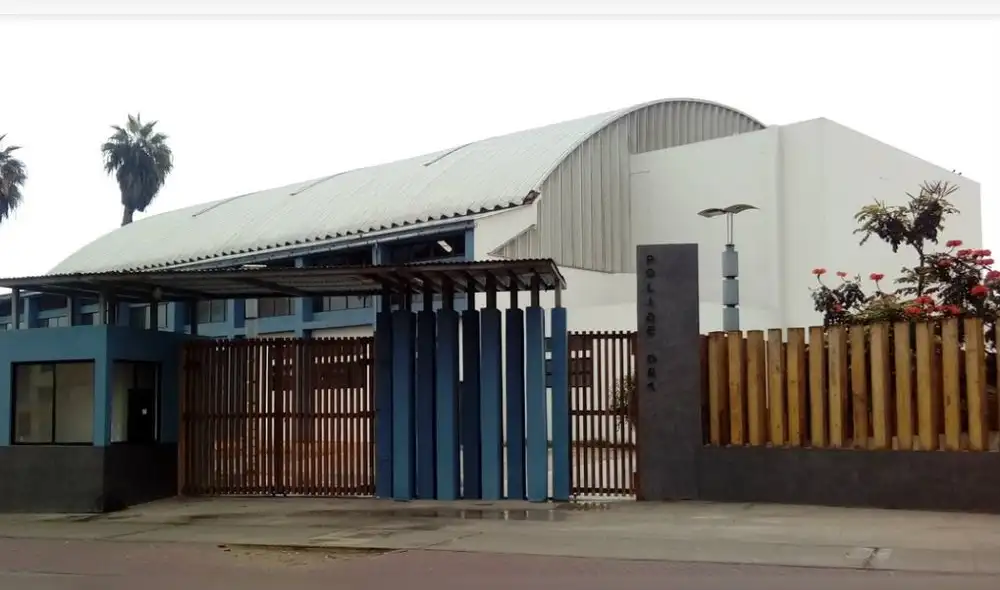 Barranco: Denuncian a profesora por pinchar con una aguja a estudiantes para un experimento