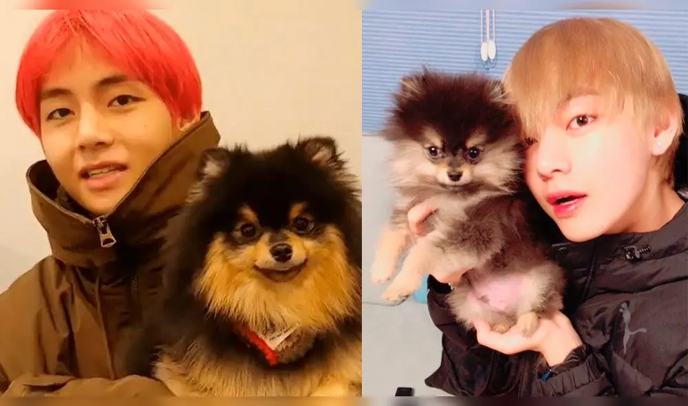BTS: V suele llamar a su perro  "Yeontan"  con el diminutivo "Tan".