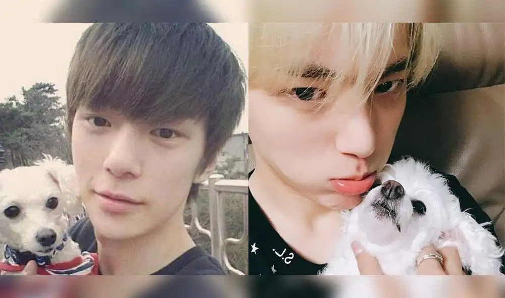 Lee Minhyuk de MONSTA X reveló a MONBEBE la muerte de 'Dambi'. Lee Minhyuk de MONSTA X reveló a MONBEBE la muerte de 'Dambi'.