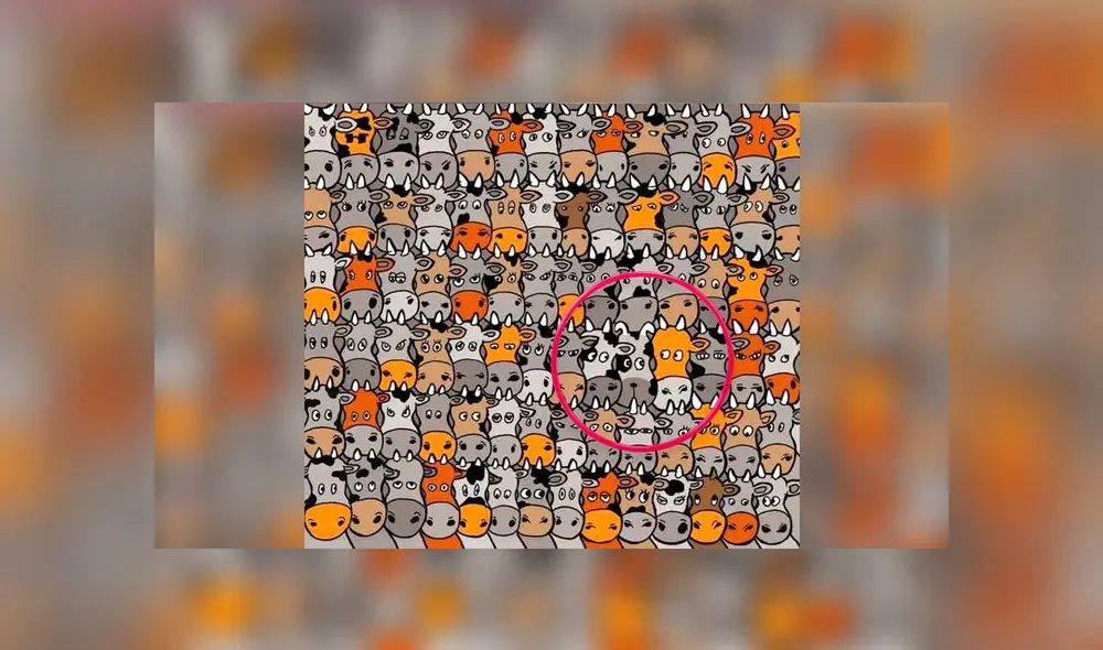 Desliza las imágenes para ver la respuesta de este complejo reto visual que ha causado furor en redes sociales. Foto: Facebook Desliza las imágenes para ver la respuesta de este complejo reto visual que ha causado furor en redes sociales. Foto: Facebook