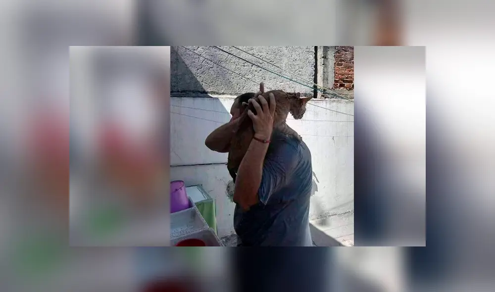 Desliza para ver el desenlace de esta historia de Facebook. Foto: Captura. Desliza para ver el desenlace de esta historia de Facebook. Foto: Captura.