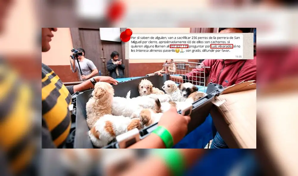 Facebook: denuncian estafa de joven por supuesto sacrificio de perros en San Miguel