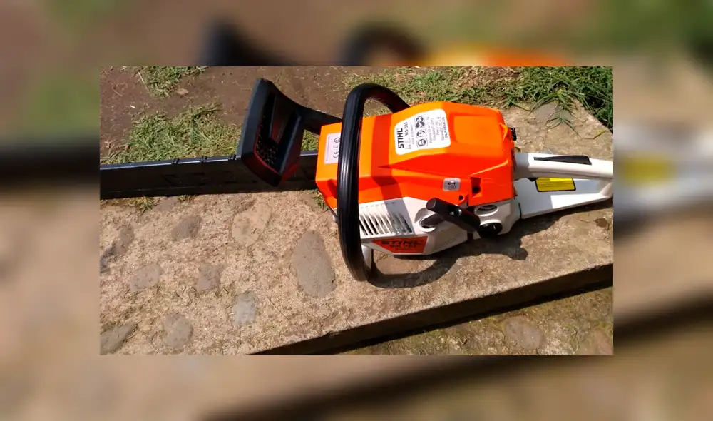 Golpea, apuñala y corta con una motosierra al perro de su tía en venganza por atacar a un niño [FOTOS] 