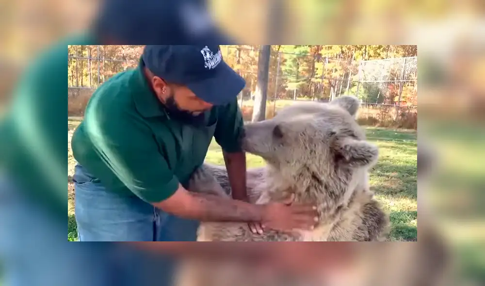 Los trabajadores del recinto quedaron impresionados cuando el oso reaccionó de una peculiar manera al ver a su antiguo cuidador. Foto: captura. Los trabajadores del recinto quedaron impresionados cuando el oso reaccionó de una peculiar manera al ver a su antiguo cuidador. Foto: captura.