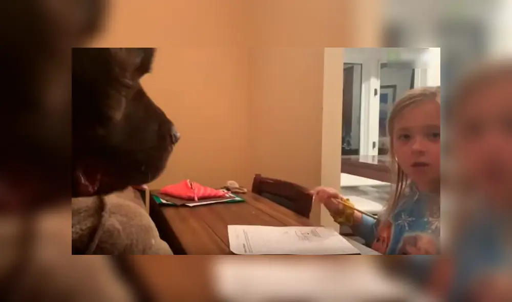 Es viral en Facebook. La peculiar conducta del can sorprendió a la mamá de la niña. Quien no dudó en grabarla para compartirla en redes Es viral en Facebook. La peculiar conducta del can sorprendió a la mamá de la niña. Quien no dudó en grabarla para compartirla en redes