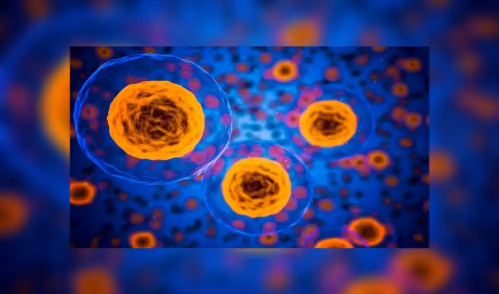 Employees of a funeral parlour carry the coffin of a COVID-19 victim into a vehicle, outside the Carlos Van Buren Hospital in Valparaiso on June 12, 2020. - Chile registered the worst daily figures so far in the current coronavirus pandemic on Friday, with 6,754 new infections in the last 24 hours and 222 more deaths, totaling up to now 2,870 fatalities, local authorities reported. (Photo by ADRIANA THOMASA CARBALLO / AFP)