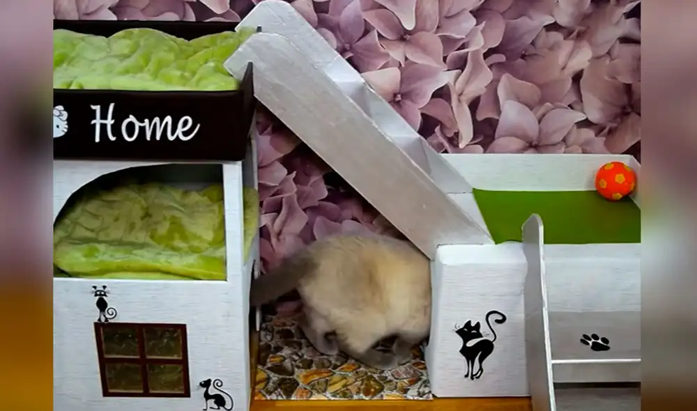 Desliza las imágenes para observar el trabajo de una joven para armar una casa propia para su gato. Foto: captura de YouTube