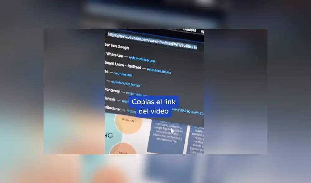 El joven mostró cómo conseguir el texto del audio de un video publicado en Internet. Foto: TikTok
