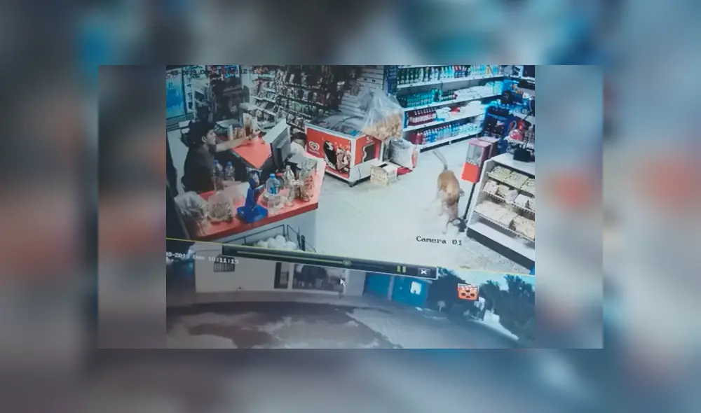 Desliza para ver el desenlace de este video viral de YouTube. Foto: Captura. Desliza para ver el desenlace de este video viral de YouTube. Foto: Captura.