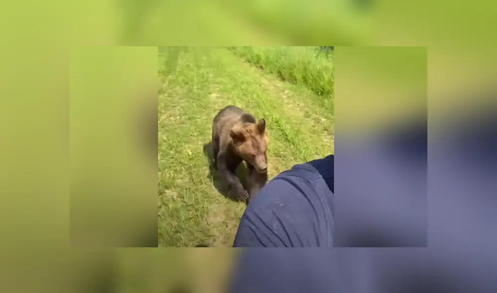 En las redes se hizo viral una escena en la que un oso persigue a un joven para arrebatarle su helado. Foto: YouTube En las redes se hizo viral una escena en la que un oso persigue a un joven para arrebatarle su helado. Foto: YouTube