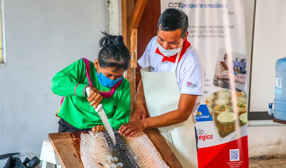 shipibo conivo shipibo conivo