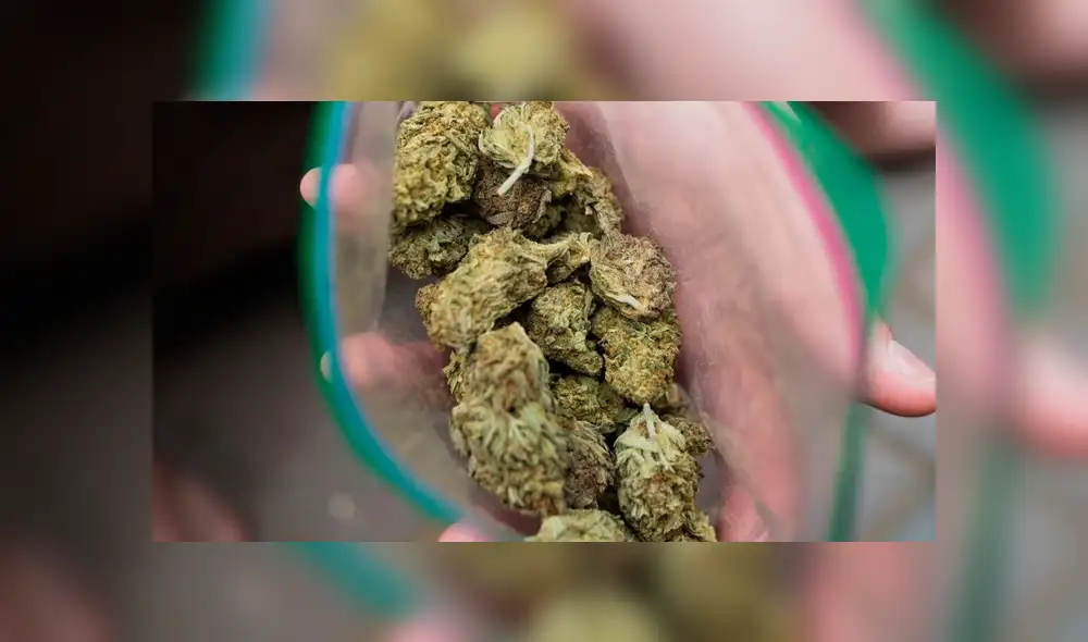 Denuncia mala calidad de su marihuana y lo arrestan [FOTOS]