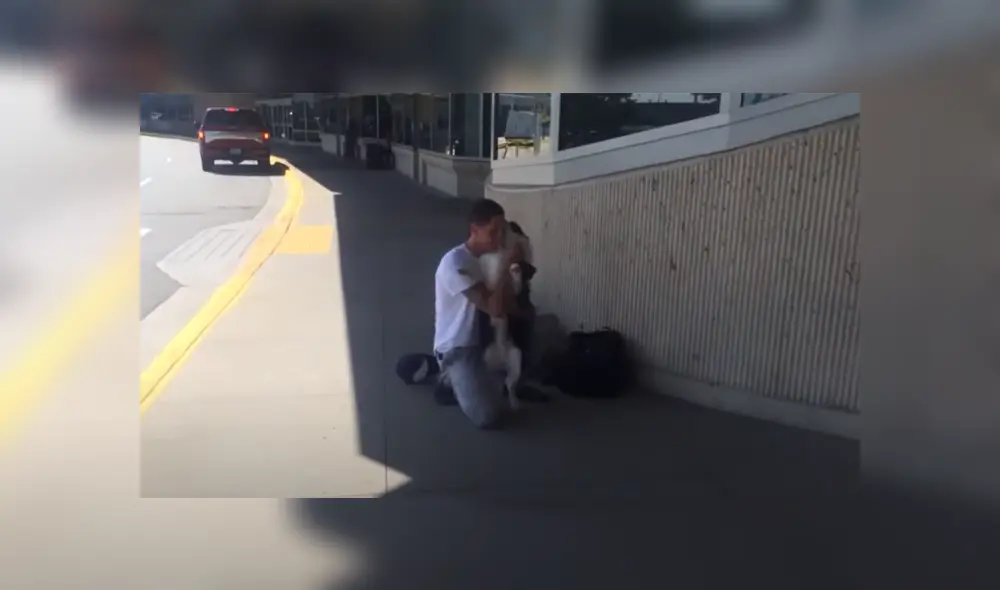 En YouTube se hizo viral el conmovedor reencuentro entre un perro y su dueño.