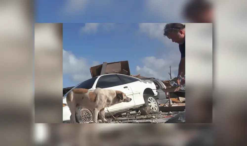 Desliza hacia la izquierda para ver el conmovedor rescate. Imágenes virales de Facebook. Desliza hacia la izquierda para ver el conmovedor rescate. Imágenes virales de Facebook.