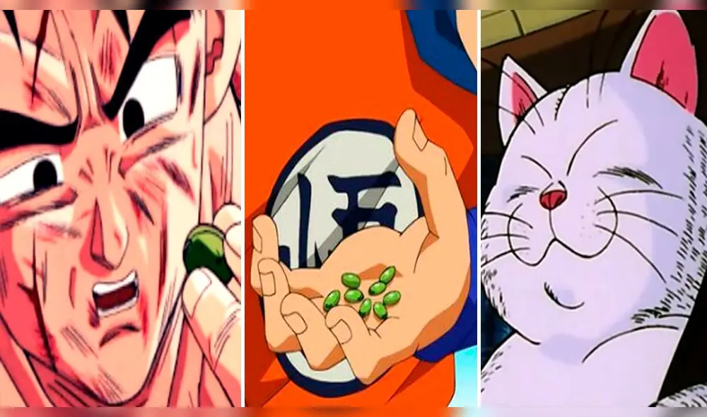 Dragon Ball Super ¿cuál es el verdadero poder de las semillas del ermitaño? - Fuente: Difusión Dragon Ball Super ¿cuál es el verdadero poder de las semillas del ermitaño? - Fuente: Difusión